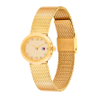 Chrono Euro Diffusion TOMMY HILFIGER   Chrono Euro Diffusion