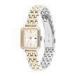 Chrono Euro Diffusion TOMMY HILFIGER   Chrono Euro Diffusion