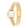 Chrono Euro Diffusion CALVIN KLEIN WATCHES   Chrono Euro Diffusion