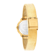 Chrono Euro Diffusion TOMMY HILFIGER   Chrono Euro Diffusion