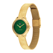 Chrono Euro Diffusion TOMMY HILFIGER   Chrono Euro Diffusion