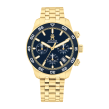 Chrono Euro Diffusion TOMMY HILFIGER   Chrono Euro Diffusion